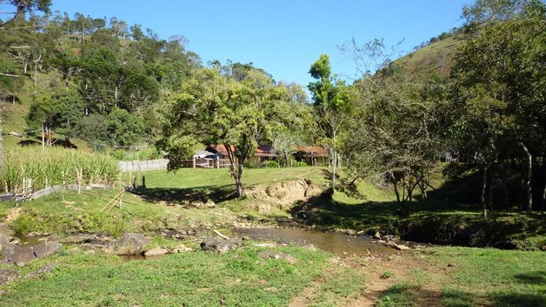Un paysage rural avec un petit ruisseau, des zones herbeuses et quelques arbres dispersés.