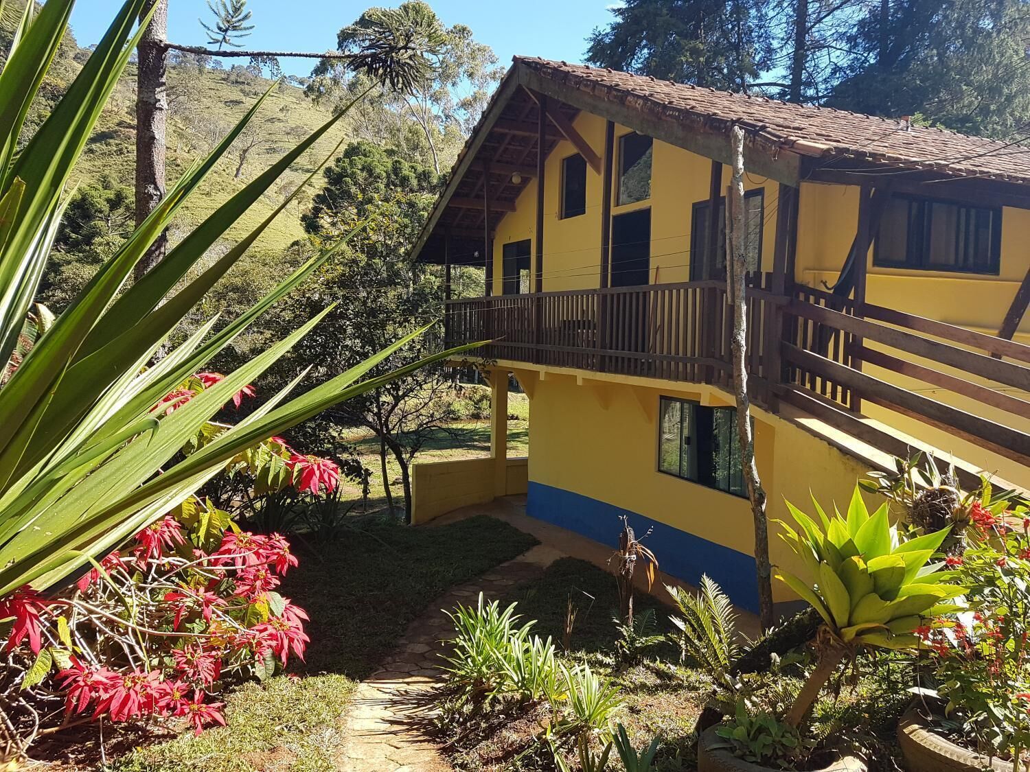 Um edifício amarelo de dois andares com varanda, rodeado por plantas tropicais e um caminho de pedra.