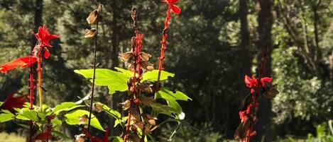 숙박 시설 구내
