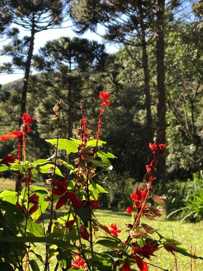Apto 2 Férias na Fazenda Usina Térreo