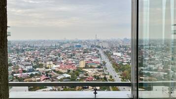 Superior Apartment, 1 Bedroom, Accessible, City View (1806) | 1 bedroom, individually decorated, individually furnished