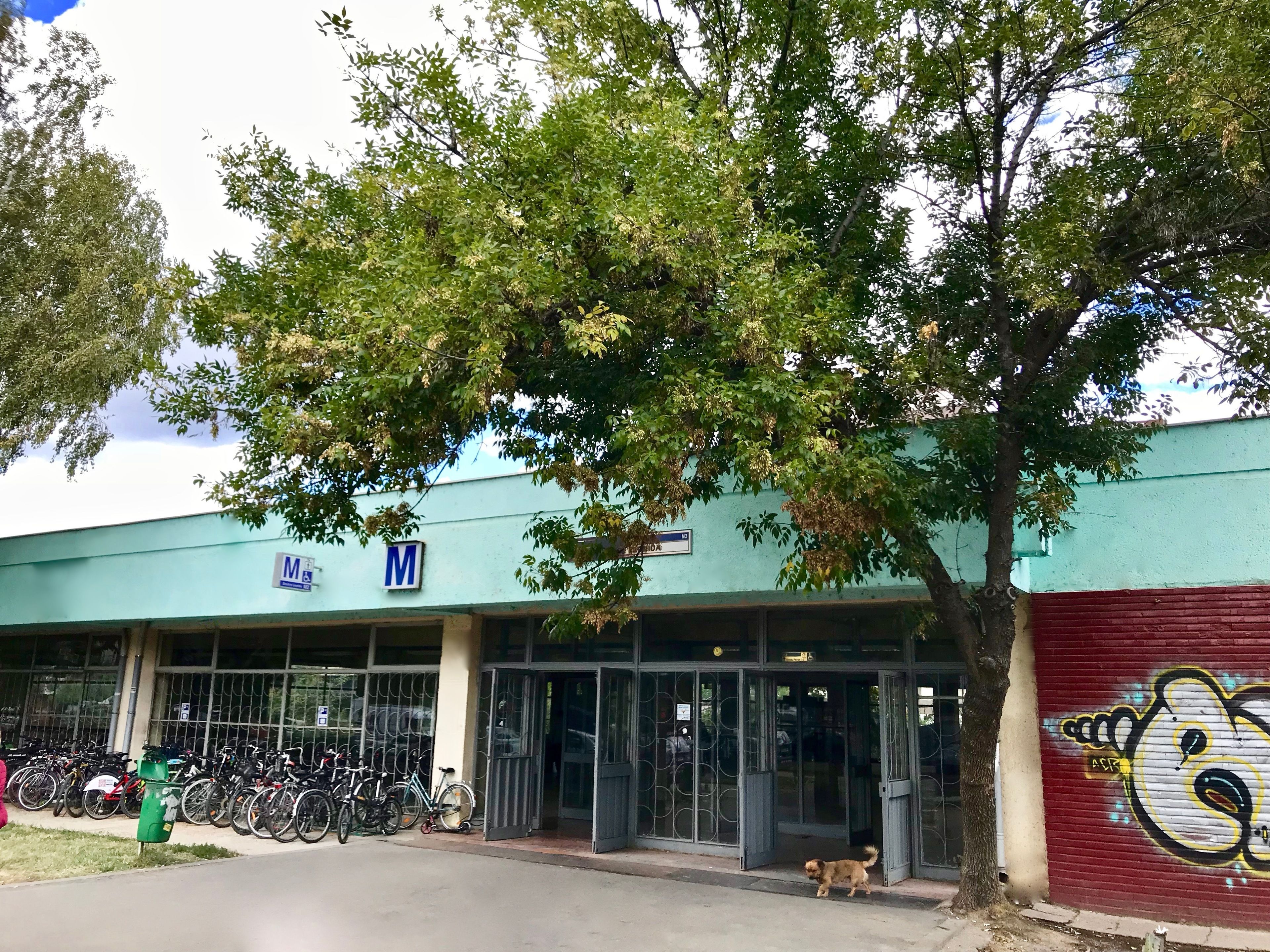 Un edificio con un cartel que indica un área de estacionamiento, un árbol al frente y un perro caminando por la acera.