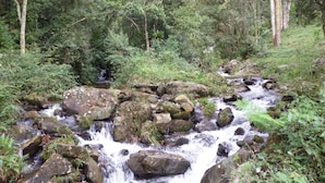 A natural stream flowing over rocks in a forested area. - Apto 1 ferias na Fazenda Usina And. Sup. (Bocaina de Minas)