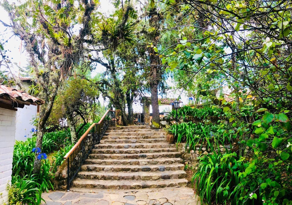 Hotel El Patio de Monterrey by null