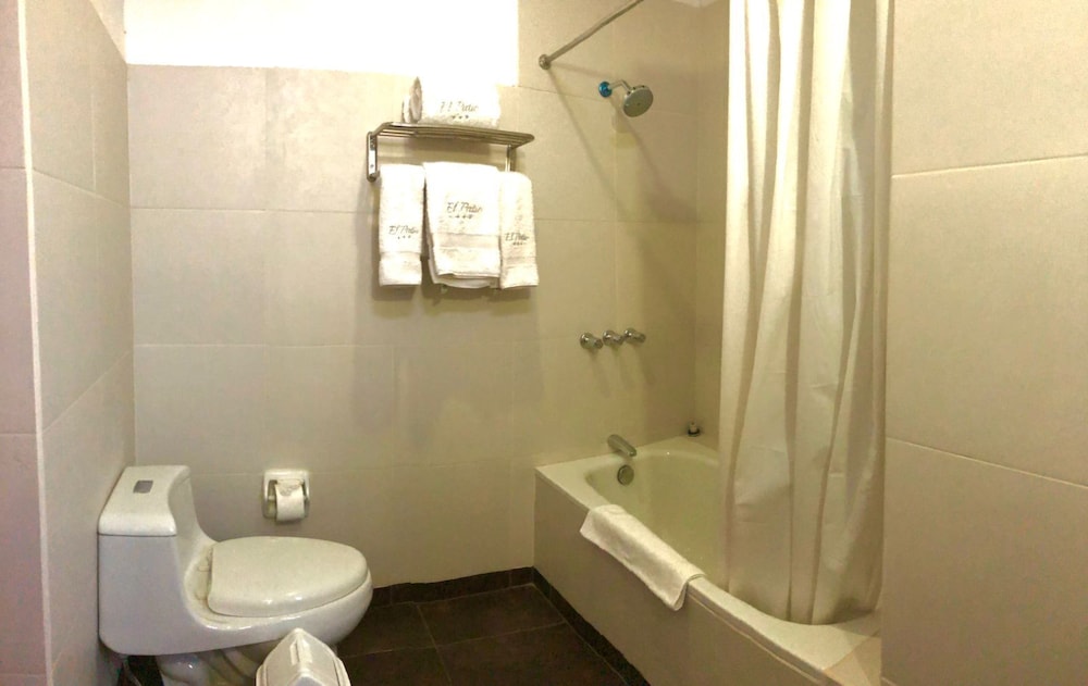 Hotel El Patio de Monterrey by null