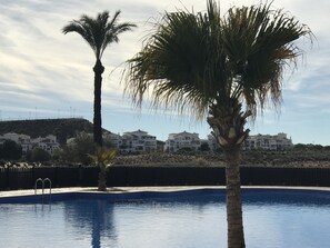 Une piscine avec deux palmiers au premier plan et une rangée de bâtiments blancs en arrière-plan.