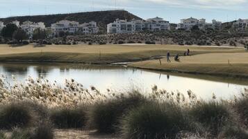 الإطلالة من المنشأة