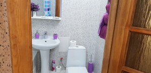 A bathroom with a white sink, toilet, and a mirror.