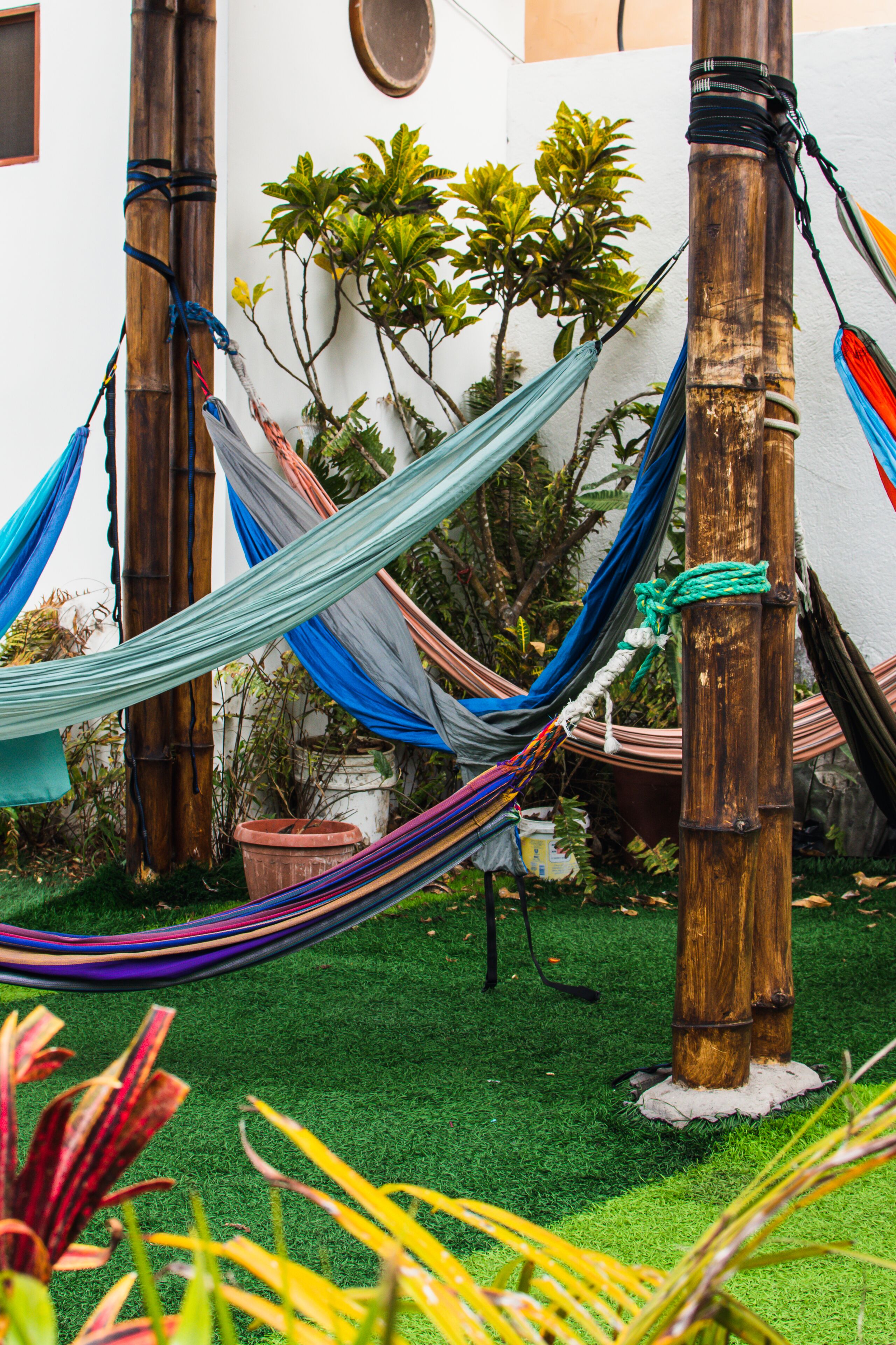 Foto - Gran Hostal Tintorera