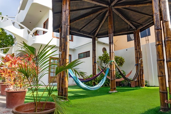 Garden view