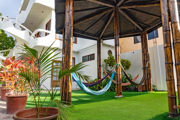 Garden view
