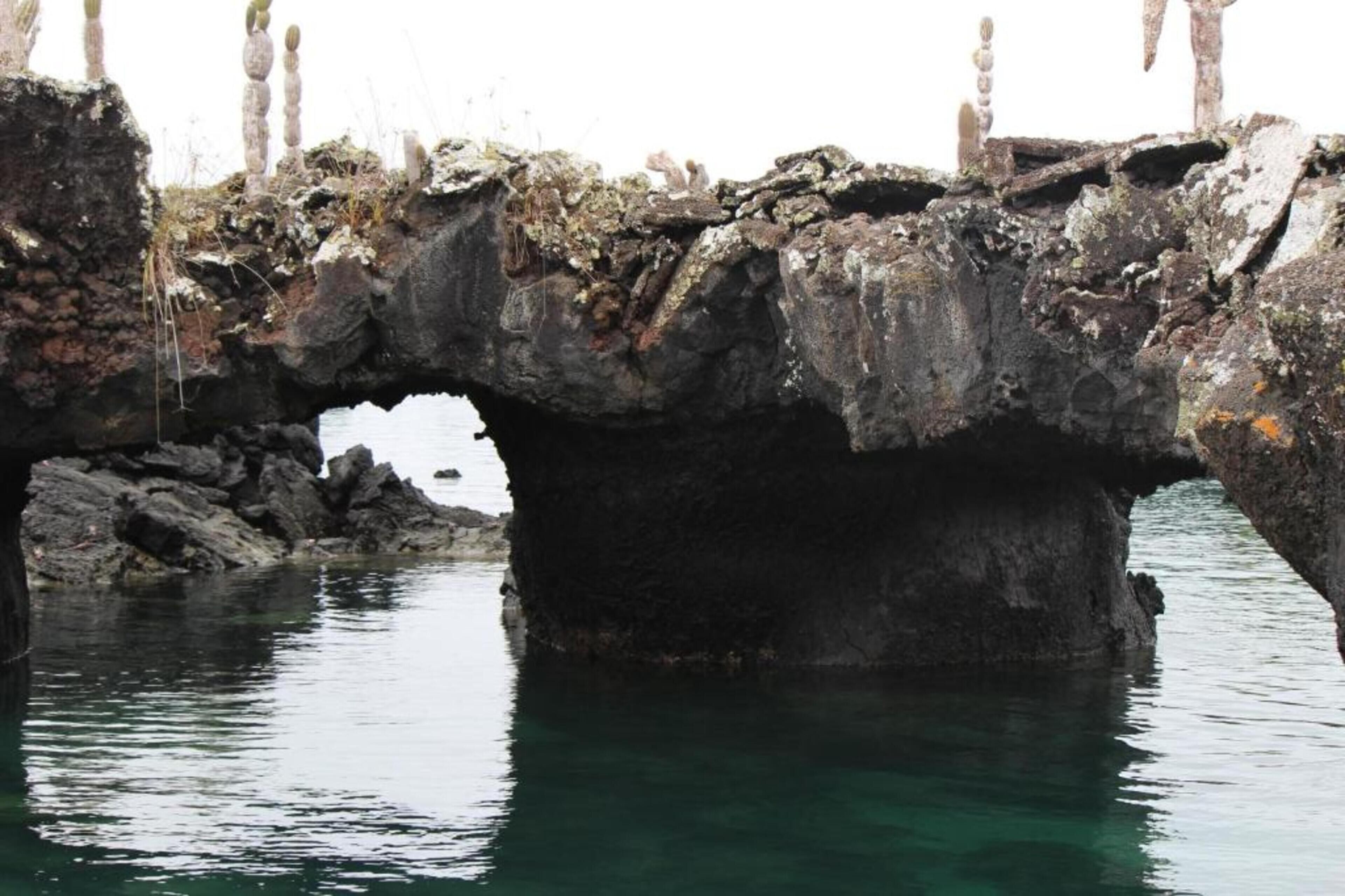 Foto - Gran Hostal Tintorera