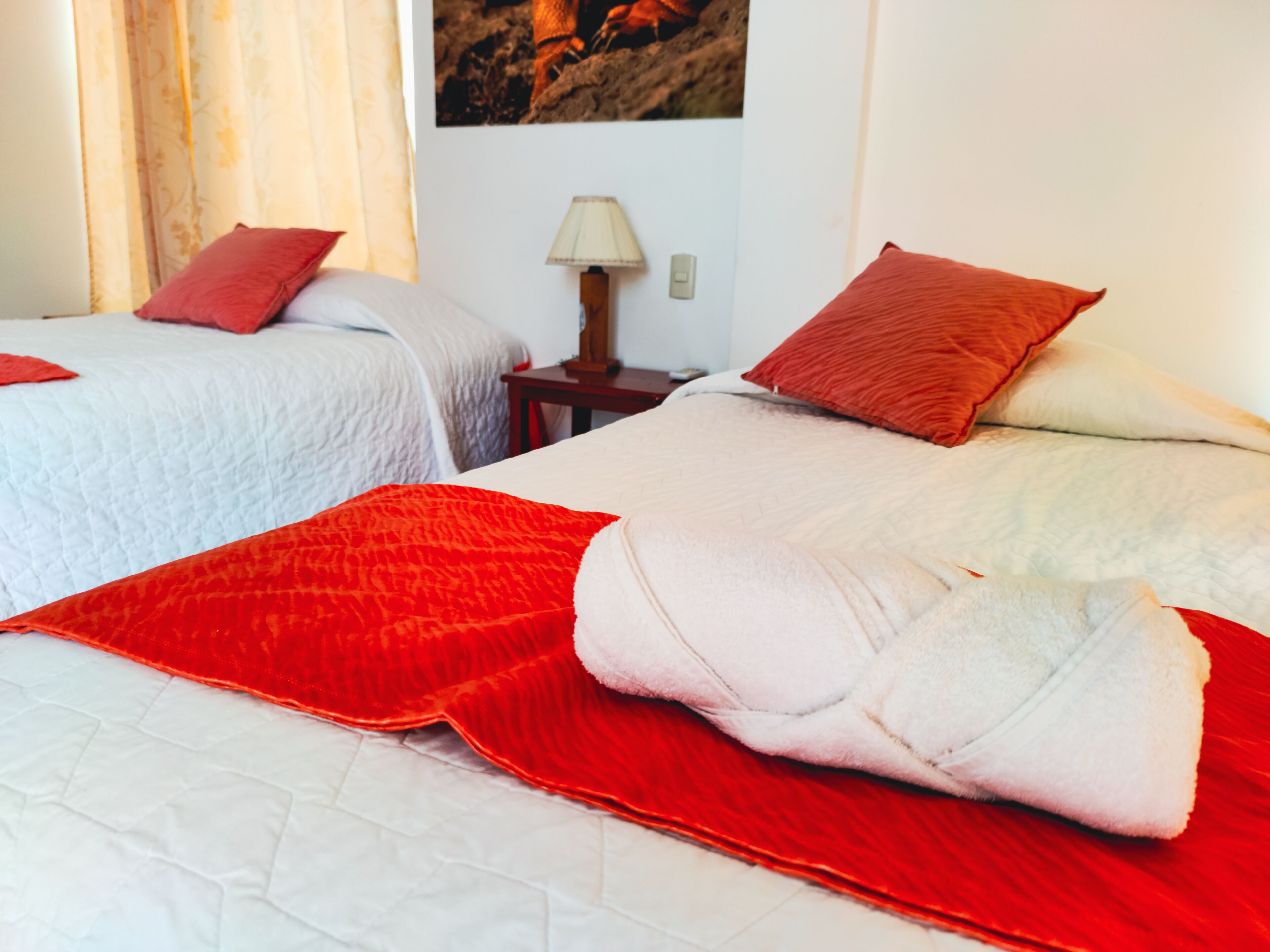 Twee bedden met rood-witte beddengoed, een nachtkastje met een lamp en een aan de muur hangend schilderij.