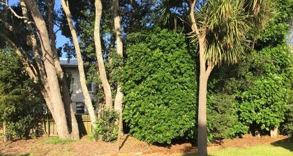 Modern Home in Convenient Location