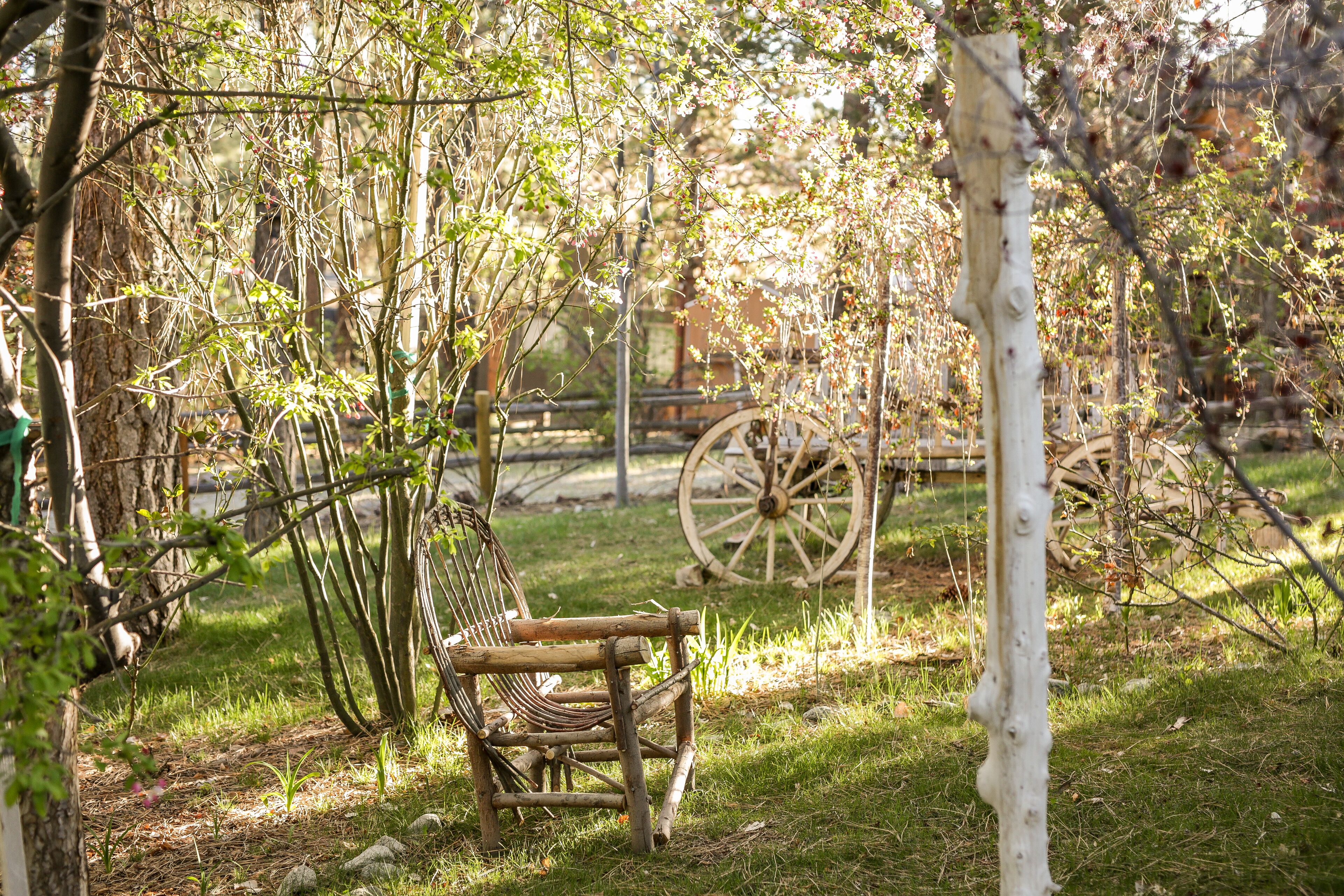 Jardín