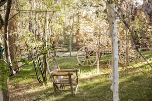 Taman