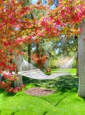 Property grounds - Gold Mountain Manor Bed and Breakfast (Big Bear City)