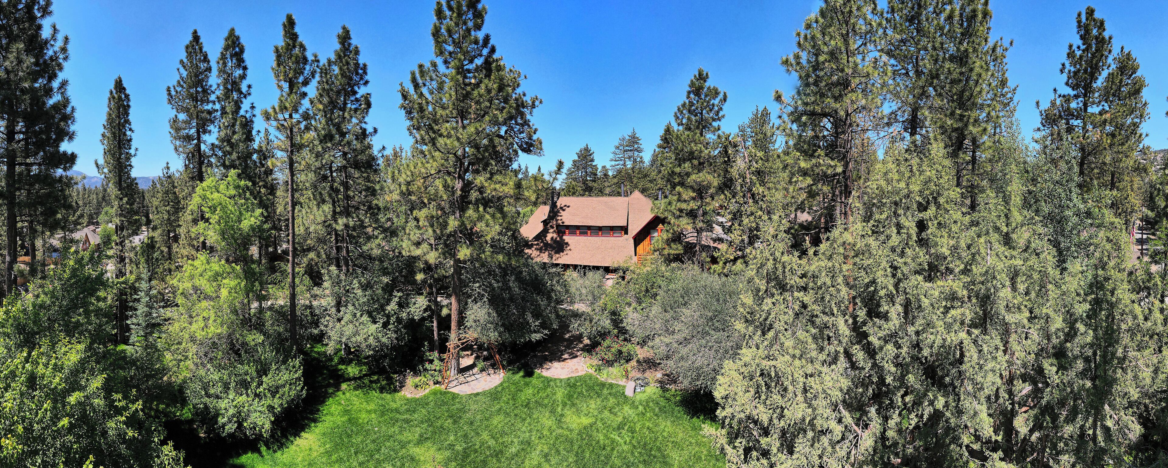 A house surrounded by dense forest with a clear sky.