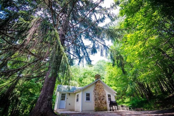 Experience the beauty of the Laurel Highlands. Book your mountain getaway today.
We offer the most unique collection of vacation homes in Laurel Highlands. From a cozy couple's getaway to a sprawling 400-acre private retreat, we have the perfect accommodations for your destination getaway.