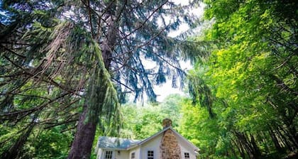 OVR's plaats in de dennen! Gezellige luxe hut naast Fallingwater! Hot tub!