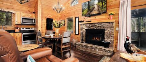 Smart TV, fireplace, video game console, Netflix