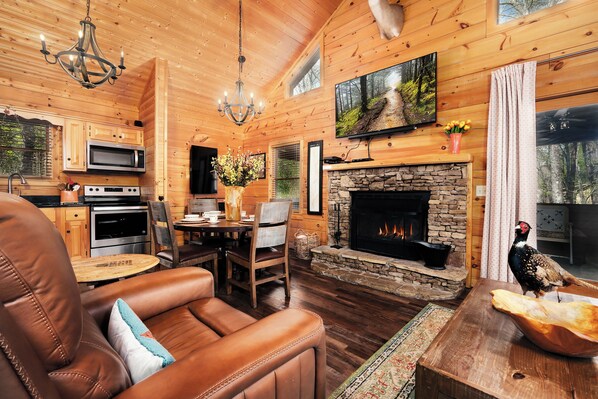 Smart TV, fireplace, video game console, Netflix