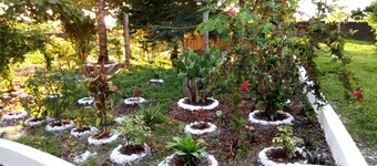 SAZANIBUNGALOWS. Nungwi North Zanzibar