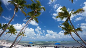 Una playa con palmeras, cielo despejado y el océano.