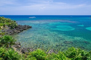 Playa en los alrededores 