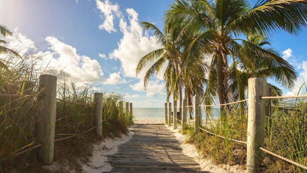 A wooden pathway leading to a beach with palm trees and a clear sky. - **FOLLOW THE SUN** Ocean Condo / Pool & Tennis + Last Key White Glove Service... (Key West)