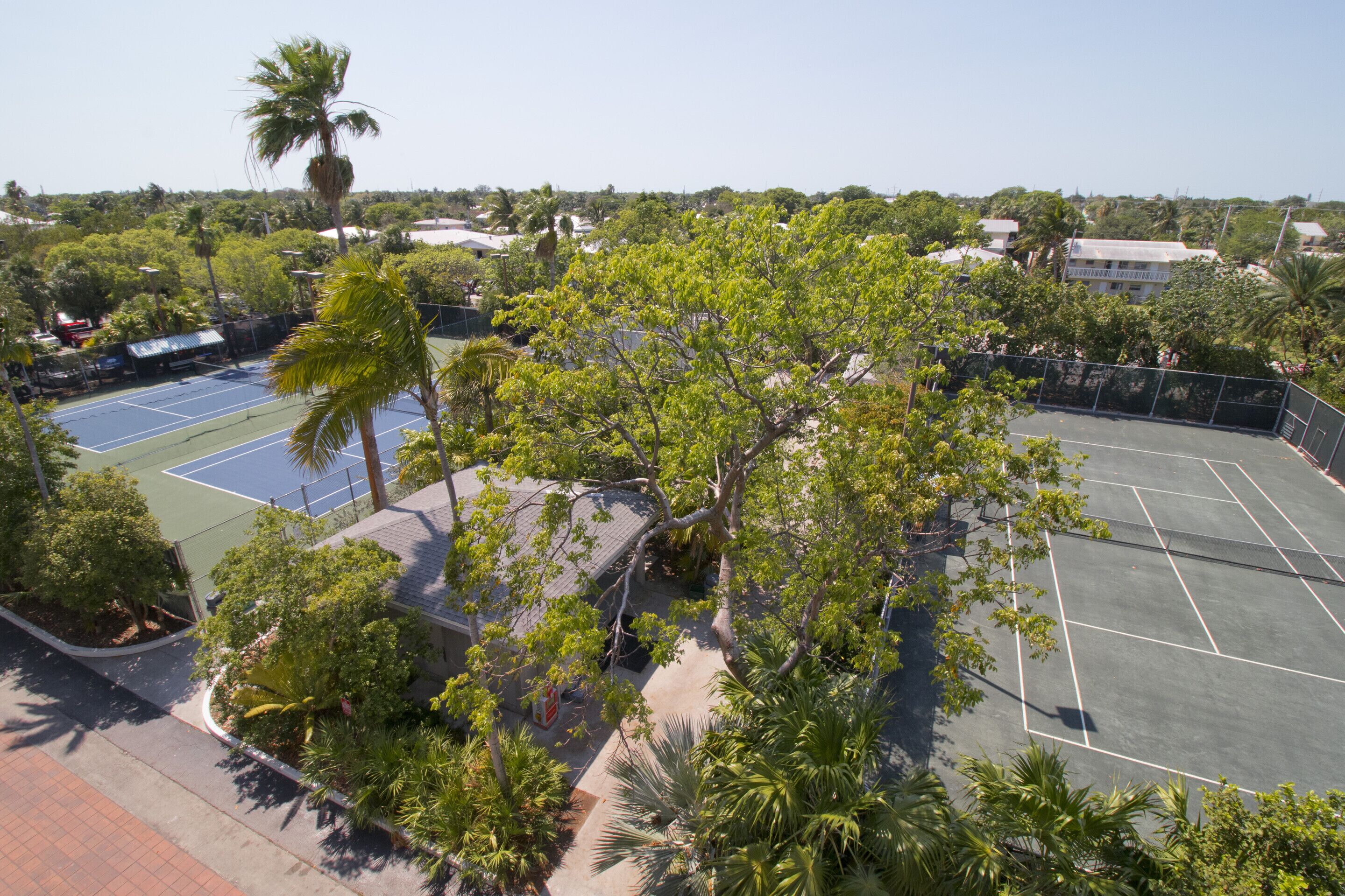 Vista aérea de una cancha de tenis rodeada de abundante vegetación y edificios residenciales.