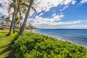 On the beach - Spectacular Ocean Front Family Vacation Home 4 bed 4 bath AC and pool. (Lahaina)