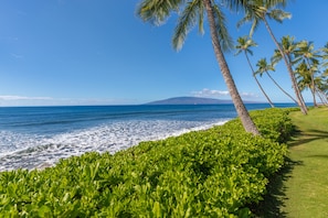 On the beach - Spectacular Ocean Front Family Vacation Home 4 bed 4 bath AC and pool. (Lahaina)
