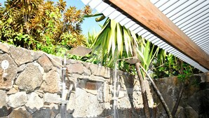 A stone wall with a metal structure, possibly a water feature, and lush tropical plants. - Le Cabanon, perfect for nature lovers (Le Morne)