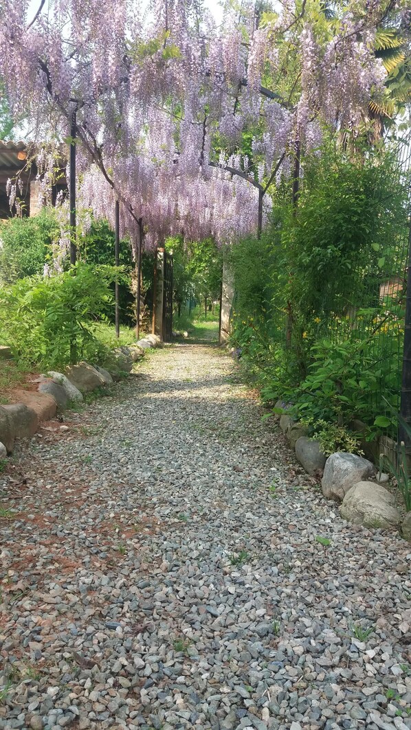 Overnattingsstedets uteområder