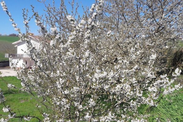 Enceinte de lâhĂ©bergement