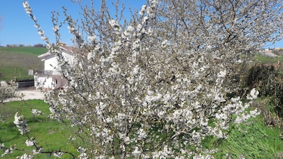 Country house in the heart of Basilicata