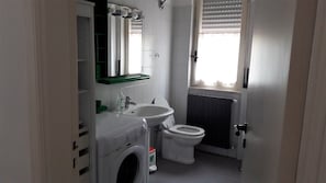 Bathtub, hair dryer, bidet, towels