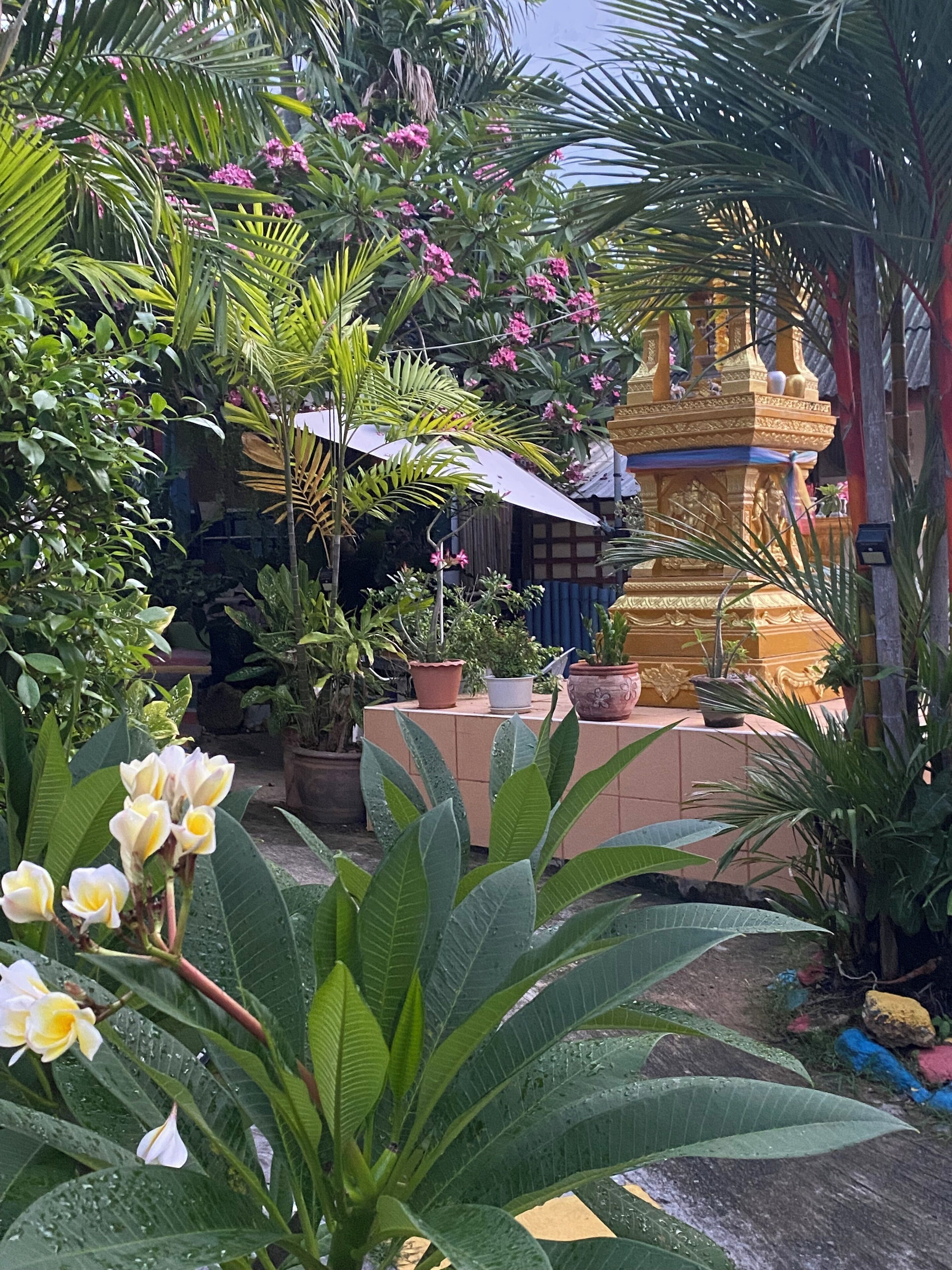 Minibar, caja de seguridad en la habitación, wifi gratis y ropa de cama 