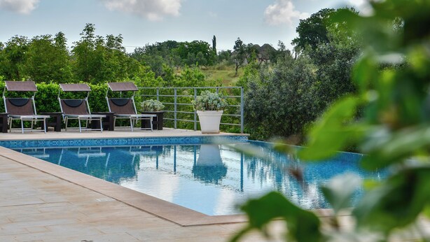 Ein Pool mit Liegestühlen und einem Blumentopf.