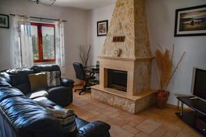 Télévision, cheminée, lecteur de DVD, livres