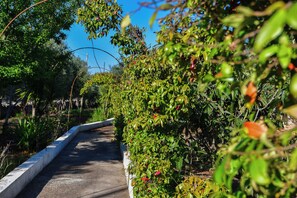 Terrain de l’hébergement 