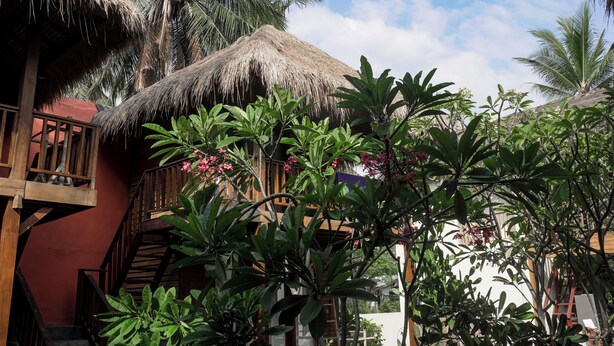 A tropical resort with thatched-roof structures, lush greenery, and a clear sky.