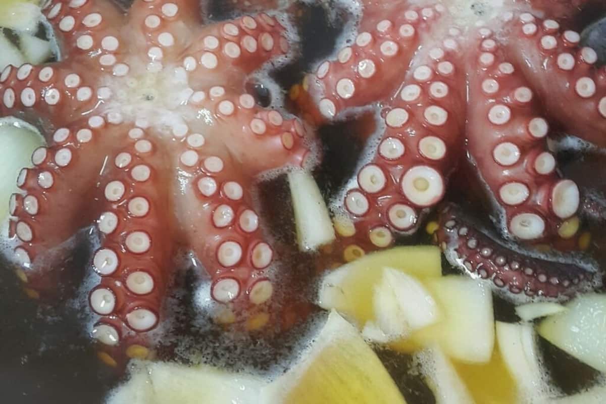 Alimentos y bebidas