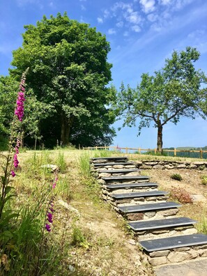 Property grounds - Counrty Cottage with HOT TUB, FIBRE BROADBAND, NETFLIX (Denbighshire)