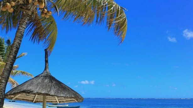 Ein Strand mit einem Strohdachschirm, Palmen und Booten im Wasser.