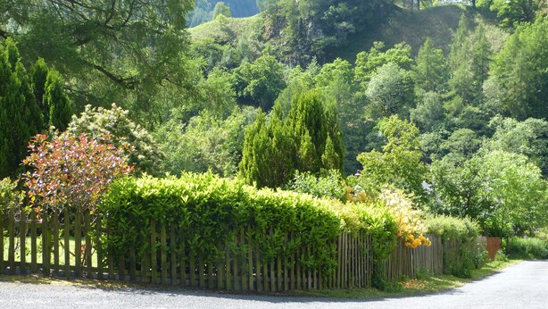 A rural road bordered by a wooden fence and dense greenery, leading to a forested hill. - A delightful country house set in the heart of Lakeland (Keswick)