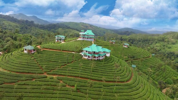 Une plantation de thé avec des champs en terrasses et quelques bâtiments dotés de toits végétalisés.