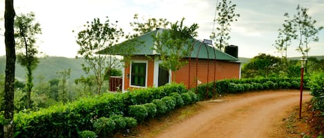 Dupleks | Pemandangan jalan