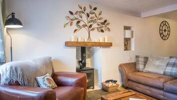 Smart TV, fireplace, DVD player, books